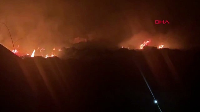 Çeşme'de çamlık alanda çıkan yangın kontrol altına alınmaya çalışılıyor