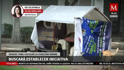 Senado buscará establecer la figura de seres sintientes para castigar el maltrato animal