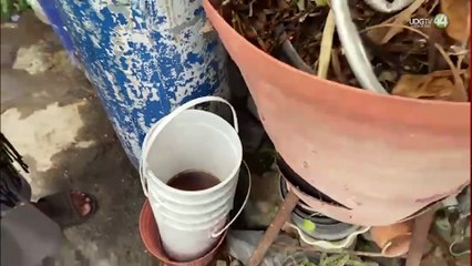 ¿Y la Coprisjal? Silencio ante la mala calidad del agua que otorga el SIAPA