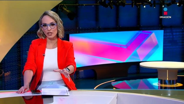 Perros guía: ¿por qué y cómo ayudan a personas con discapacidad visual?