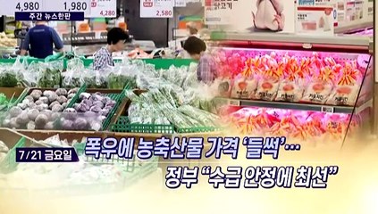 [주간 뉴스한판 7월 3주] 폭우에 희생된 안타까운 목숨들