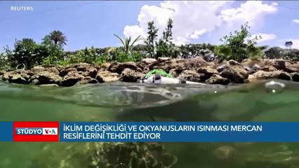 İklim değişikliği ve okyanusların ısınması mercan resiflerini tehdit ediyor