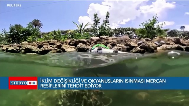 İklim değişikliği ve okyanusların ısınması mercan resiflerini tehdit ediyor