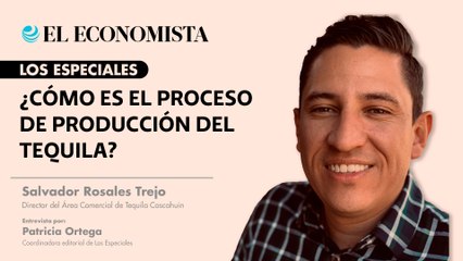 ¿Cómo es el proceso de producción del tequila?