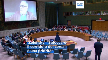 Telefonata Zelensky-Erdoğan: "Riaprire il corridoio del grano è una priorità"