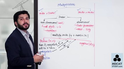 LEC#4 VECTOR MULTIPLICATION WITH SCALERS