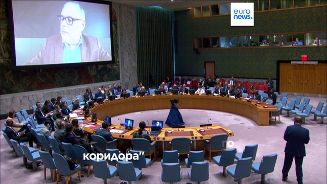 Зеленский и Эрдоган обсудили зерновую сделку