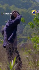 Raat O Raat Pura Gaon Gayab Hogaya #jinzada #shorts