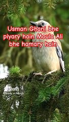 #Beautiful Manqabat#Shorts#Shorts with Lyrics#Youtube#  Lyrics#Beautiful Nature#Beautiful World#