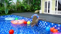 KiKi Monkey play Bubble bath in the toilet and eat yummy Ice cream with Ducklings _ KUDO ANIMAL KIKI