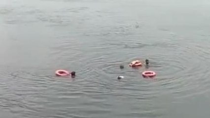 बंदरों ने किया हमला तो हिंडन में समाया युवक, मौत से संघर्ष का वीडियो वायरल