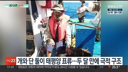 [헤이!월드] 셀카 때문에…민폐 관중 난입에 20여명 '와르르' 外