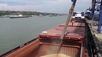 Rusya, tahıl anlaşmasının devam etmesi için 7 şart sundu