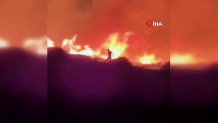 Korku filmi gibi! Ateşe verdiği ormanda diri diri yanacaktı, kaçarken yakalandı
