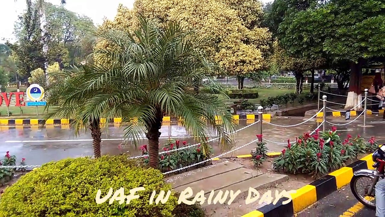 Aesthetic and rainy scenes in UAF