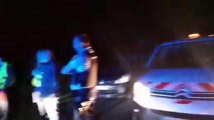 Un wallaby a été retrouvé blessé route de Beutin à La Calotterie (Pas-de-Calais)