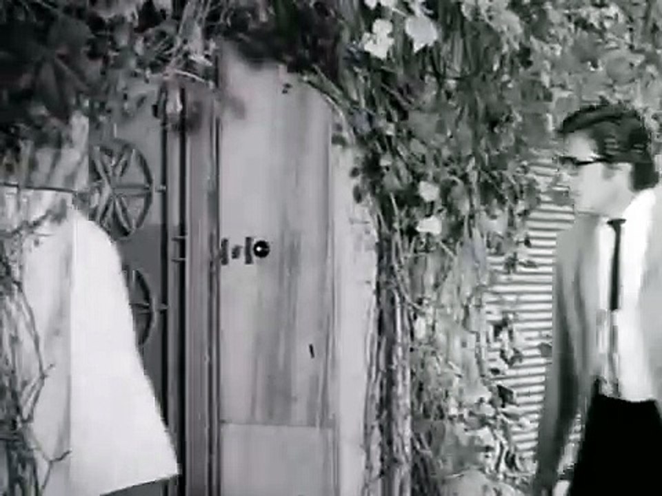Cici Gelin 1967