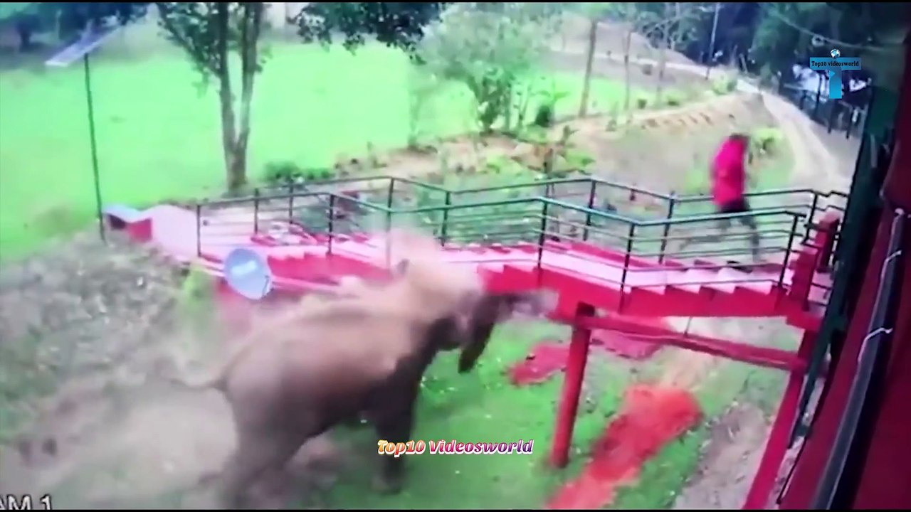 She Didn't Know That CCTV Camera Was Watching Her !