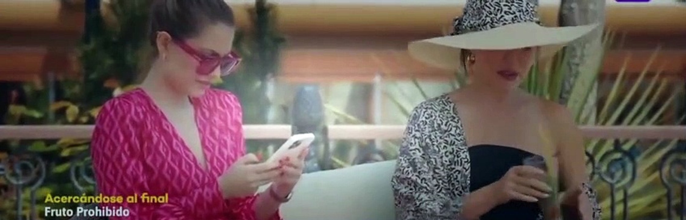 Fruto Prohibido Capitulo 455 - Fruto Prohibido Capitulo 455