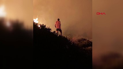 Çeşme'de çıkan orman yangınında 40 hektar alan etkilendi