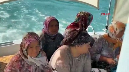 Ayvalık Adalarında Geniş Kapsamlı Temizlik Çalışması Başlatıldı