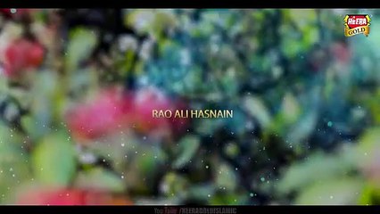 New_Heart_Touching_Naat__-_Rao_Ali_Hasnain_-_Haal_e_Dil_-_Official_Video_-_Heera_Gold
