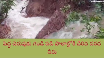 కొడంగల్: భారీ వర్షాలతో పెద్ద చెరువుకు గండి.. పొలాల్లోకి వరద నీరు..!