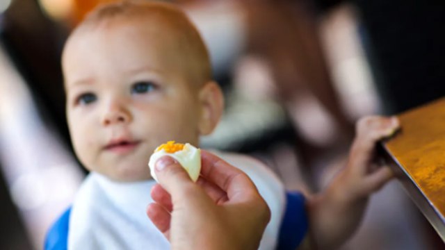 Baby ko Egg Kaise Khilaye | Baby Ko Egg Kab De | When Can Babies Eat Egg | बच्चे को अंडा कब खिलाएं