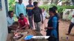 Villagers Rescued Deer From Floods | Mulugu | V6 News