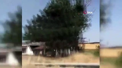 2 000 acres de champs de tournesol transformés en cendres à Edirne