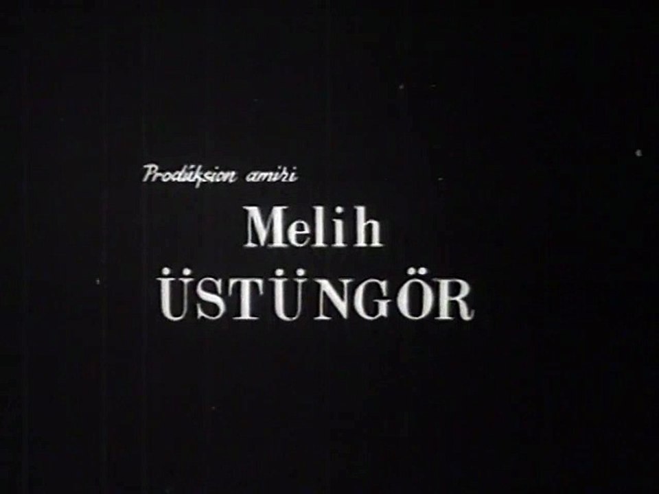 Dişi Düşman 1966