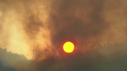 موجات الحر.. هذه السيناريوهات المخيفة التي قد تهدد سكان البشرية