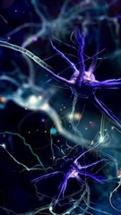 ( try to listen 30 Seconds ) BEATS FOR HEALING