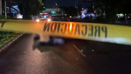 Un indigente murió luego de ser atropellado sobre