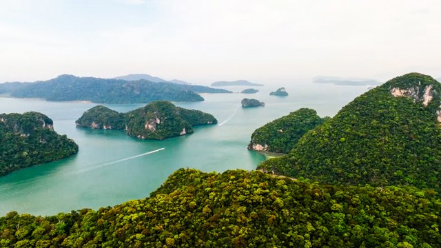 المسافر يواصل جولته بمرتفعات كاميرون وشوارع ميلاكا في ماليزيا