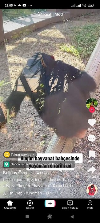 Celal Şengör hoca tadına bakıyor.
