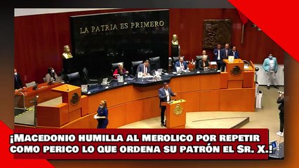 ¡VEAN! ¡Macedonio humilla al merolico Zepeda por repetir como perico lo que ordena su amo el Sr. X.!