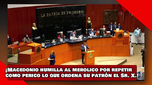¡VEAN! ¡Macedonio humilla al merolico Zepeda por repetir como perico lo que ordena su amo el Sr. X.!