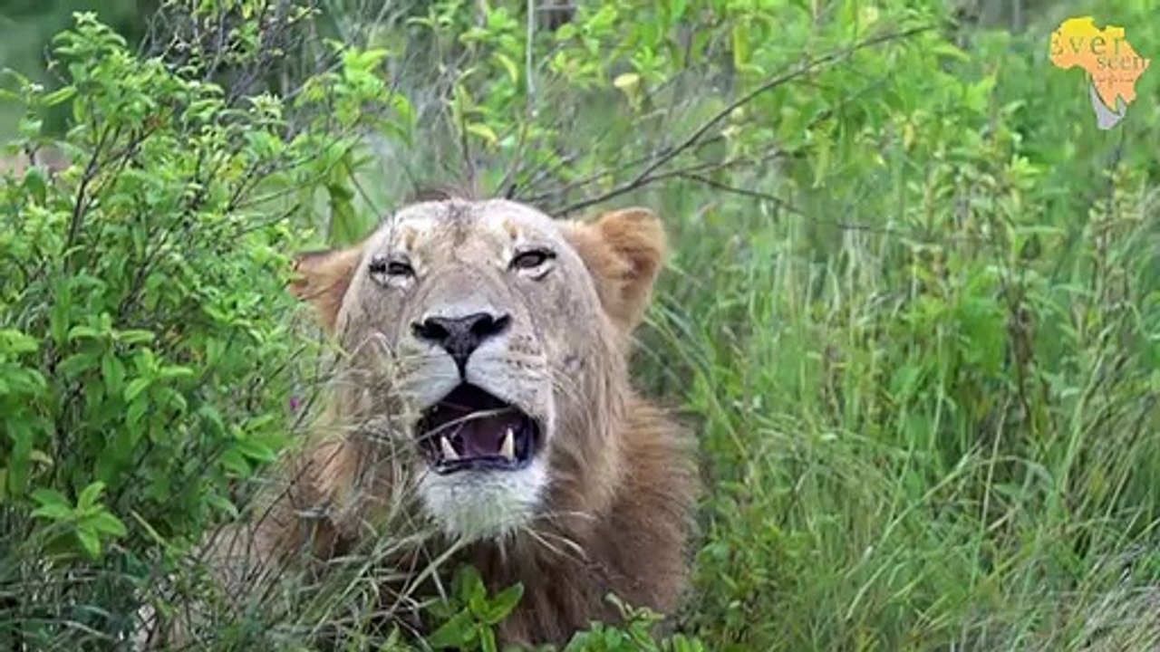 Tintswalo males Ncila and Lambile STILL MISSING after RED ROAD male fight