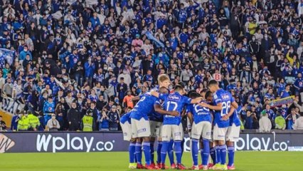 Download Video: Delincuentes se hacen pasar por hinchas de Millonarios para robar en el estadio El Campín