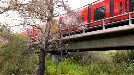 Criminalization of Homelessness_ San Diego's Failed Response to a Homeless Crisis