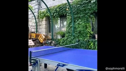 Cat Has Existential Crisis