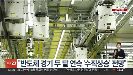 "반도체 경기 두 달 연속 '수직상승' 전망"