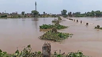 Causeway overflow built near Bhadrakali temple, disaster relief team inspected the river area by boat