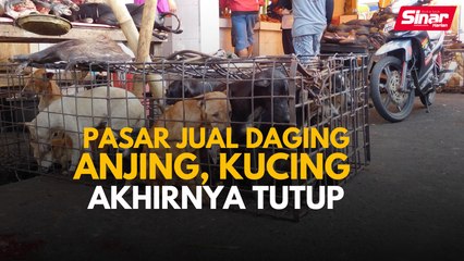 Pasar ekstrem henti jual daging anjing, kucing