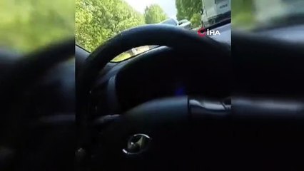 Yavru boz ayının araç sürücüsüne saldırısı kamerada