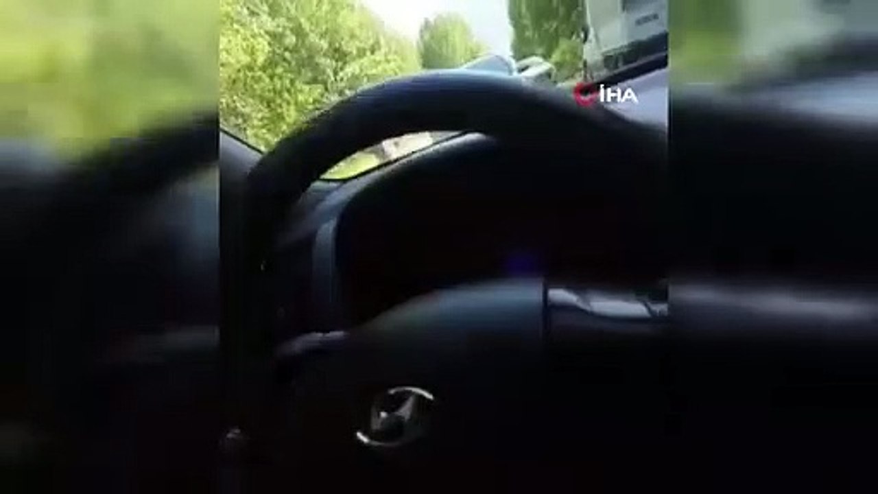 Bébé ours brun attaque un conducteur de voiture devant la caméra