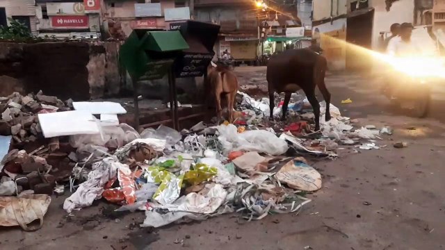 शहर में जगह जगह कचरे के ढेर
