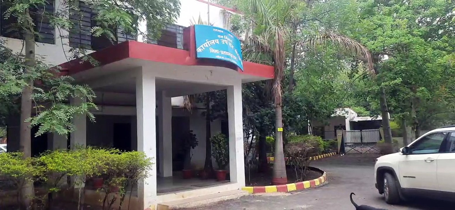 बारिश के बाद वन भूमि पर बढ़ रहे अतिक्रमण