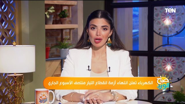 كيف ترشد استهلاكك وتحافظ على الأجهزة في ظل انقطاع الكهرباء؟.. رئيس شعبة الأجهزة الكهربائية يجيب